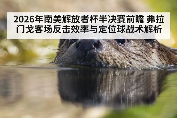 2026年南美解放者杯半决赛前瞻 弗拉门戈客场反击效率与定位球战术解析