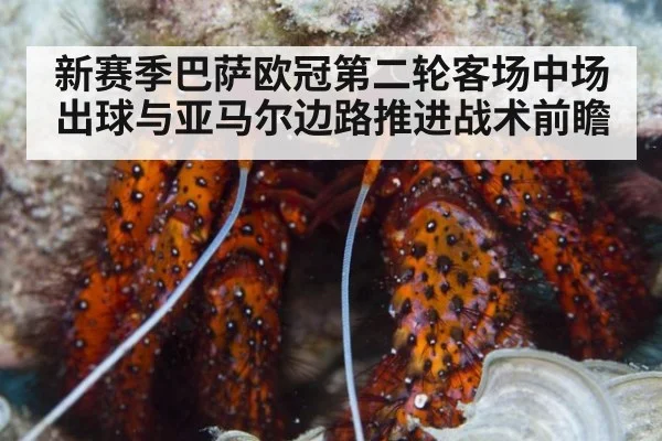 新赛季巴萨欧冠第二轮客场中场出球与亚马尔边路推进战术前瞻